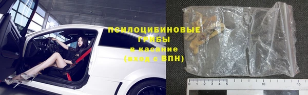 прущие грибы Абинск