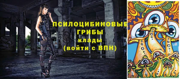 прущие грибы Абинск